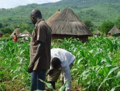 Agricultural & Co-operative Community Services